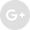 Google+ - Grey Circle